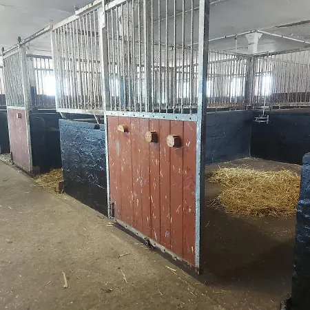 Ferienwohnung Mit Pferd, Hund Auf Hof Muggenburg *